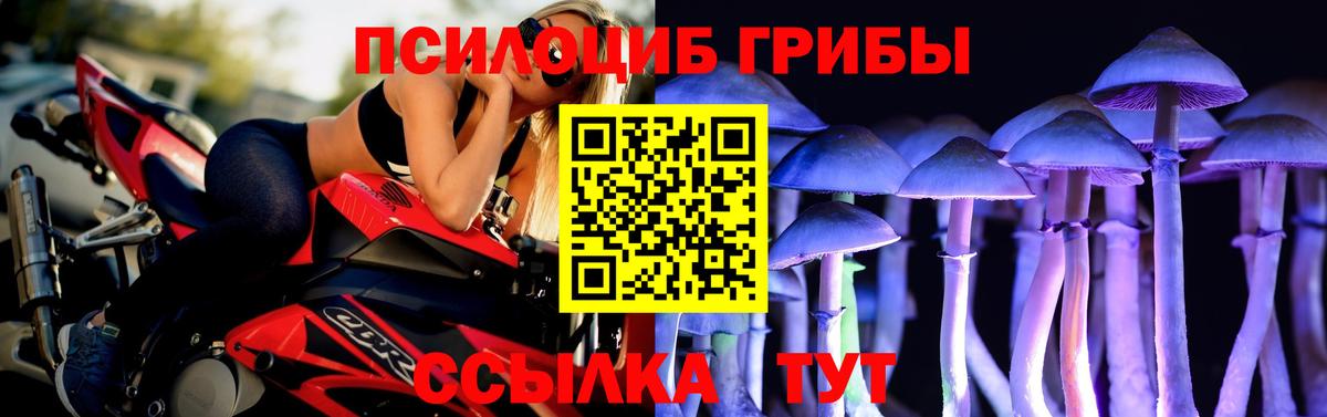 Соликамск  Галлюциногенные грибы GOLDEN TEACHER  Вход с VPN 